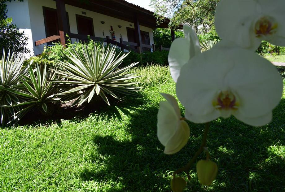 oásis - jardins 1.jpg