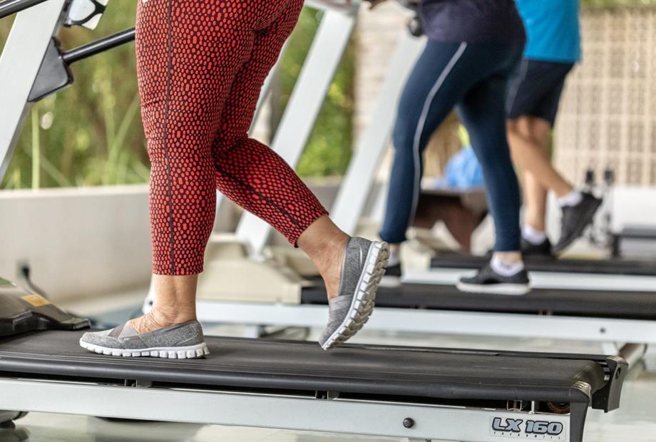 oásis academia 4.jpg