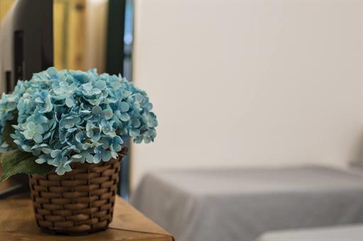 luxo padrão (4).jpg