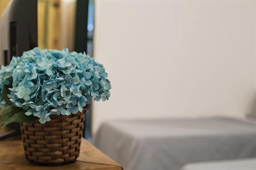 luxo padrão (4).jpg