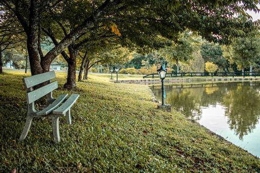 banco praça frente lago.jpeg