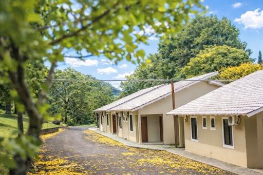 fotos ominibees (6).jpg