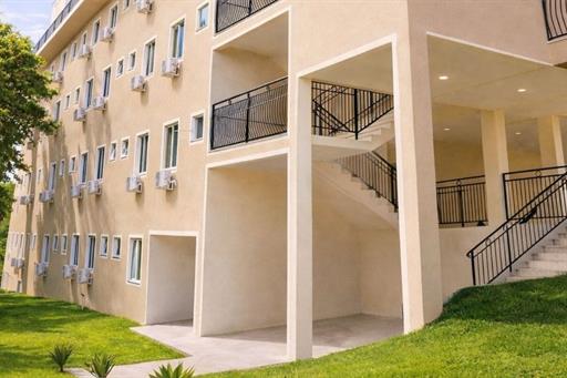 fotos ominibees (8).jpg