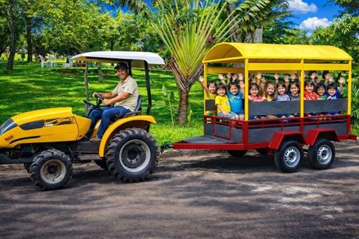 fotos ominibees (10).jpg