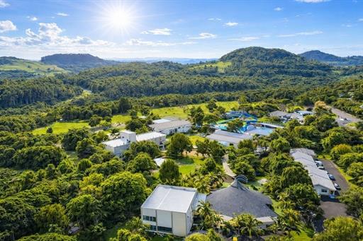 fotos ominibees (7).jpg