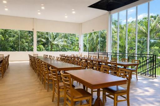 fotos ominibees (17).jpg