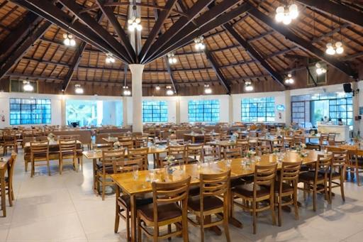 fotos ominibees (13).jpg