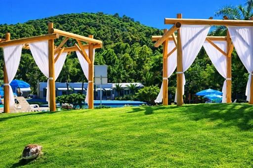 fotos ominibees (1).jpg