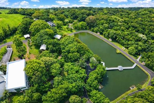 fotos ominibees (60).jpg