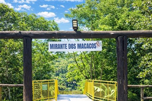 fotos ominibees (61).jpg