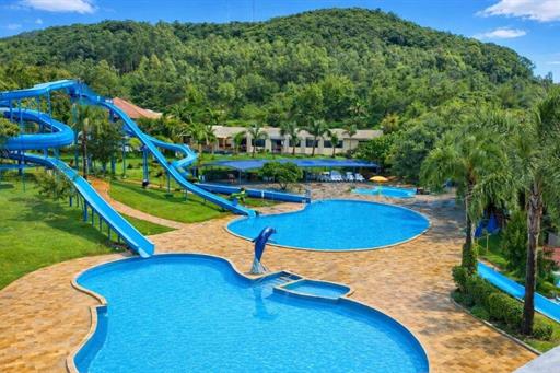 fotos ominibees (52).jpg