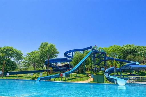 fotos ominibees (51).jpg