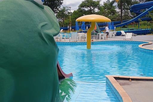 fotos ominibees (58).jpg