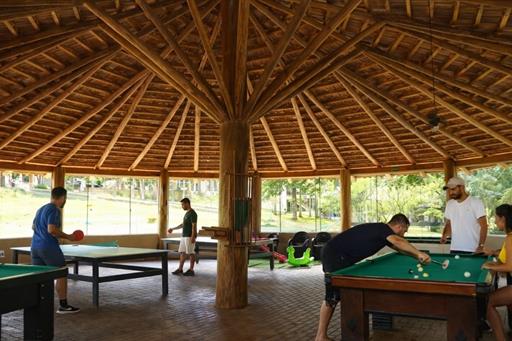 fotos ominibees (62).jpg