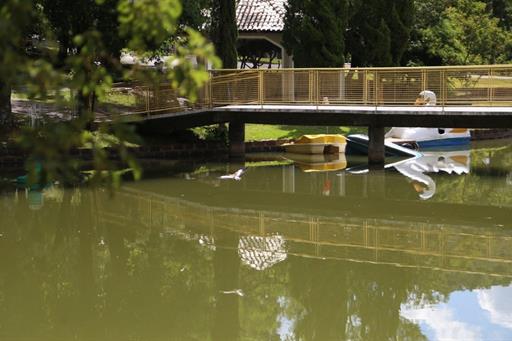 fotos ominibees (64).jpg