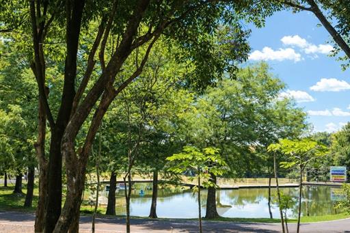 fotos ominibees (66).jpg