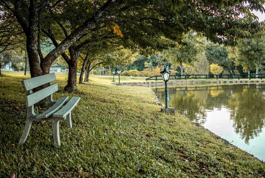 banco praça frente lago.jpeg