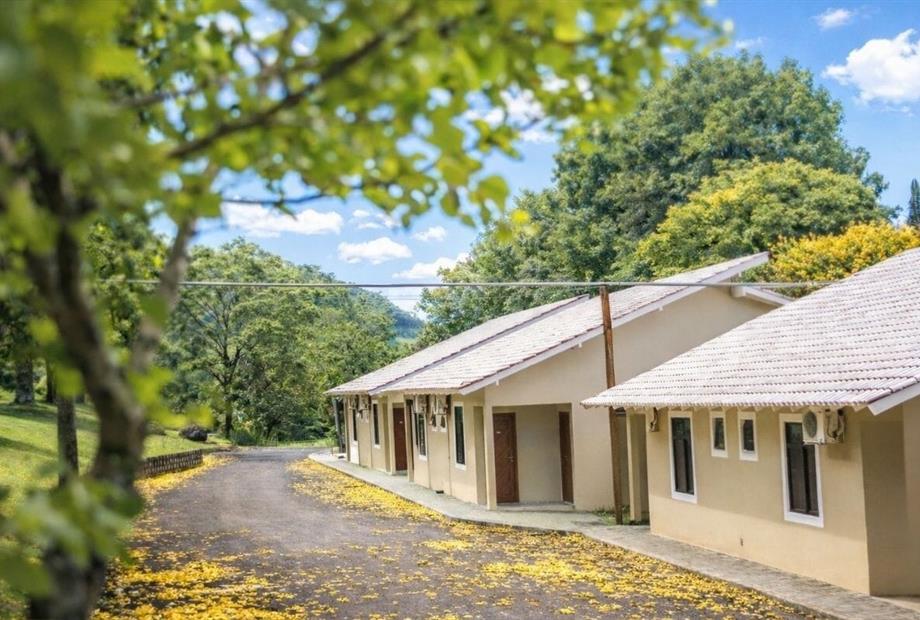 fotos ominibees (6).jpg