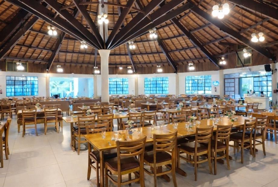 fotos ominibees (13).jpg