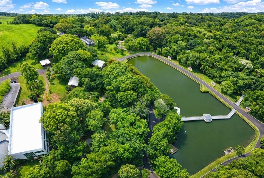 fotos ominibees (60).jpg