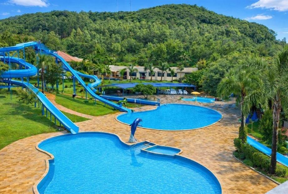 fotos ominibees (52).jpg