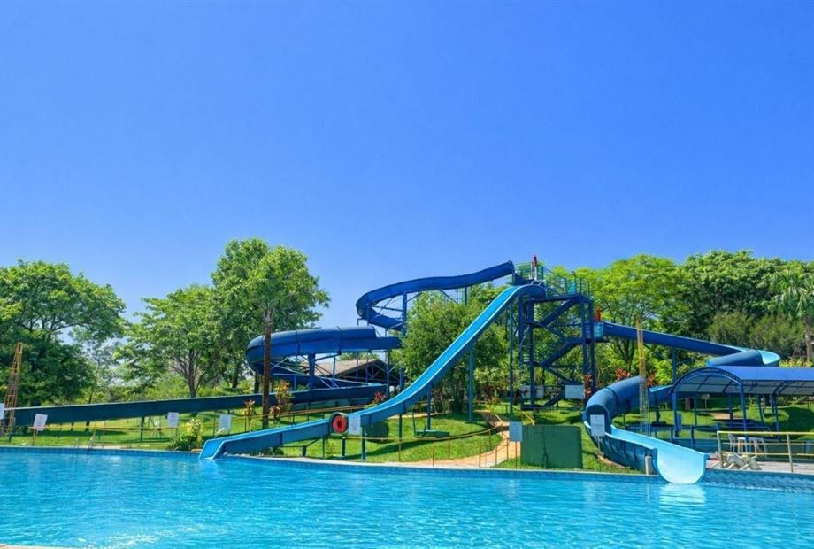 fotos ominibees (51).jpg