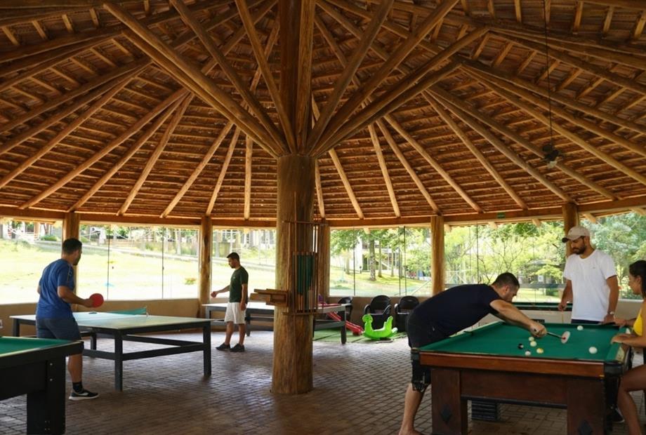 fotos ominibees (62).jpg