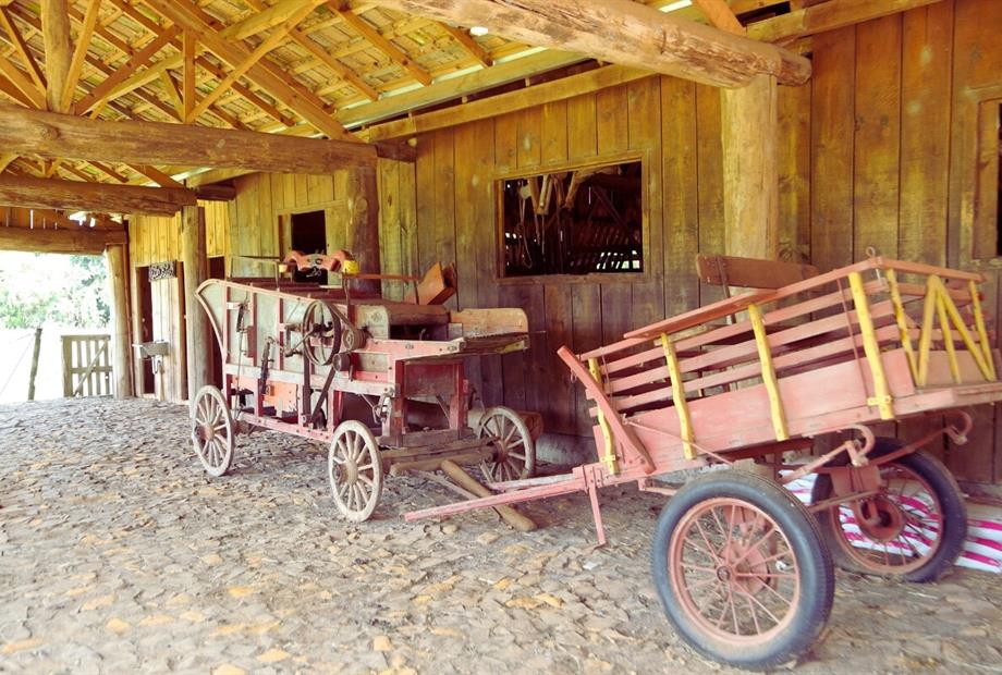 fotos ominibees (65).jpg