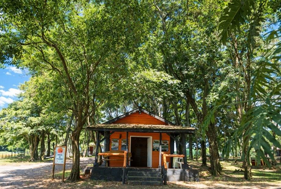 fotos ominibees (67).jpg