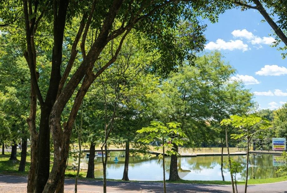 fotos ominibees (66).jpg