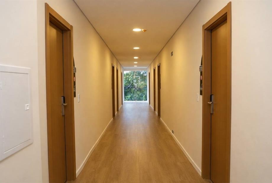 fotos ominibees (28).jpg