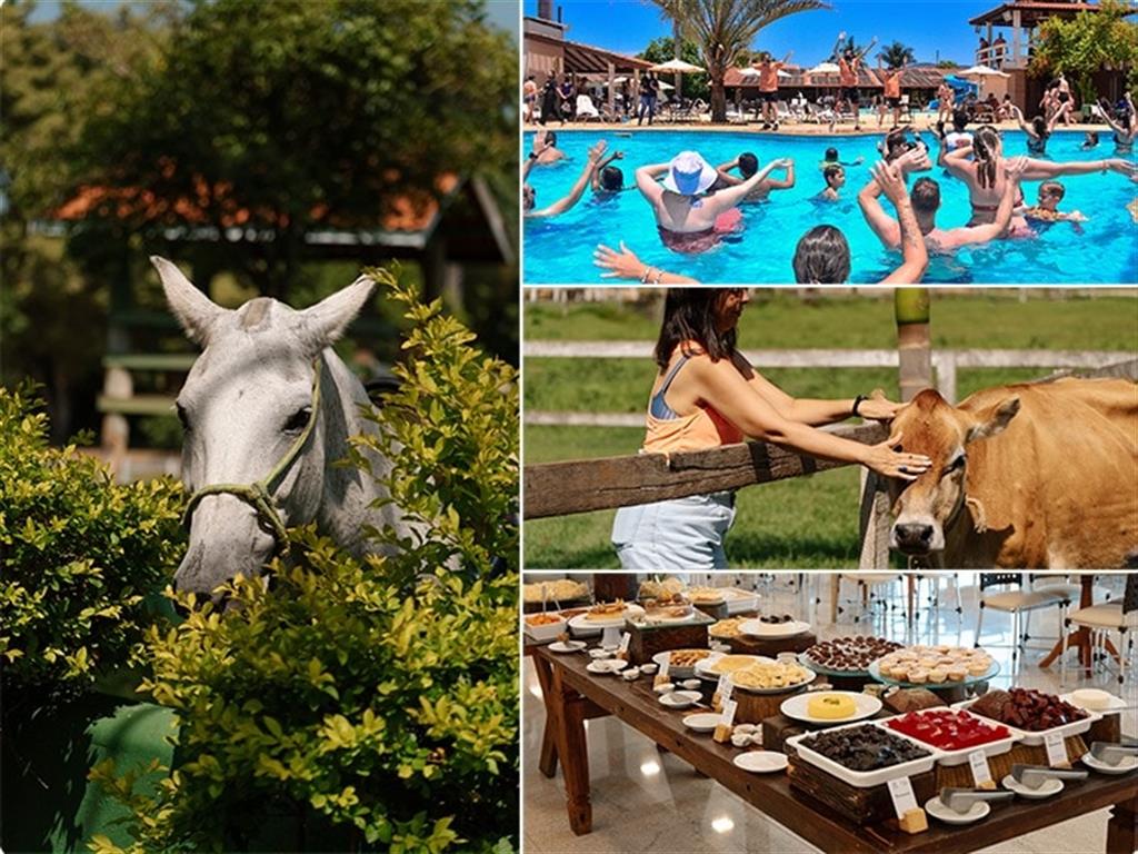 Proclamação da República