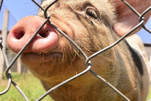 whatsapp image 2022-09-09 at 15.04.38 (13).jpeg