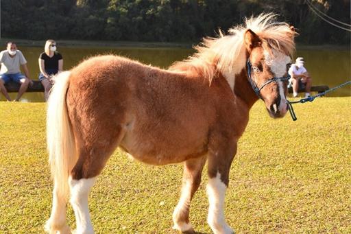 whatsapp image 2022-09-09 at 15.04.38 (14).jpeg