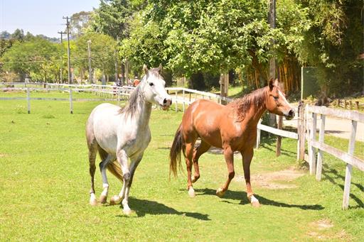 whatsapp image 2022-09-09 at 15.04.38 (12).jpeg