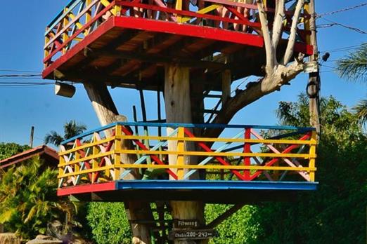 casinha da arvore.jpg