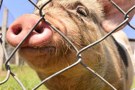 whatsapp image 2022-09-09 at 15.04.38 (13).jpeg