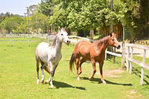 whatsapp image 2022-09-09 at 15.04.38 (12).jpeg