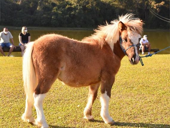 whatsapp image 2022-09-09 at 15.04.38 (14).jpeg