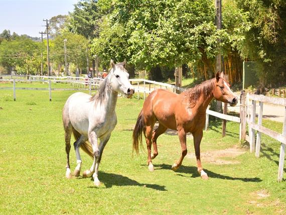 whatsapp image 2022-09-09 at 15.04.38 (12).jpeg