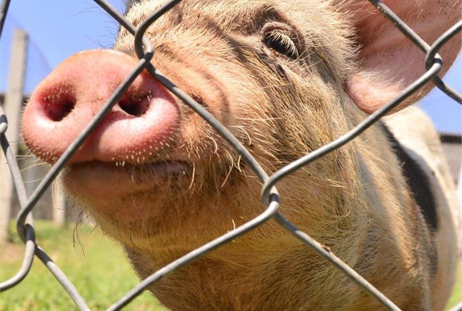 whatsapp image 2022-09-09 at 15.04.38 (13).jpeg