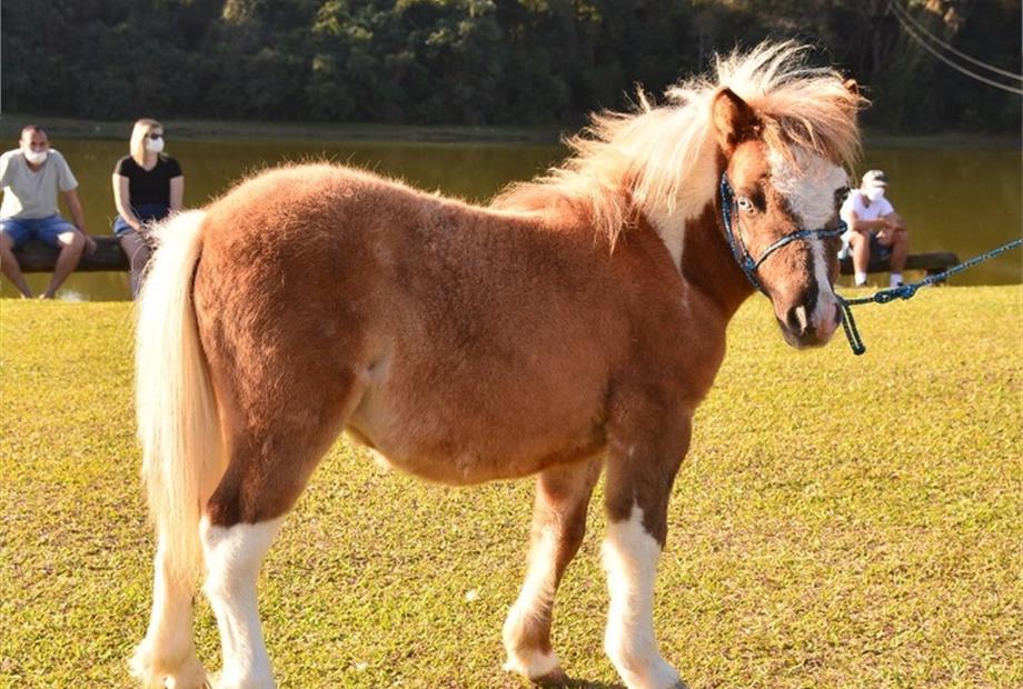 whatsapp image 2022-09-09 at 15.04.38 (14).jpeg