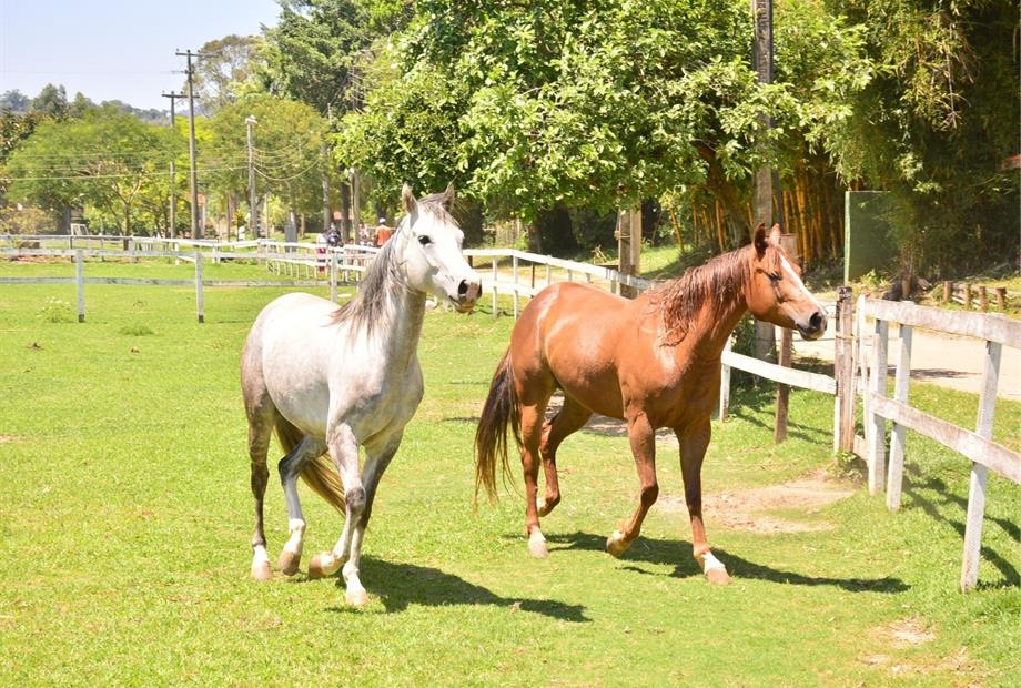 whatsapp image 2022-09-09 at 15.04.38 (12).jpeg