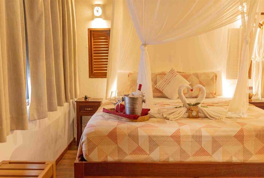 bk0b7809 (1)_11zon.jpeg