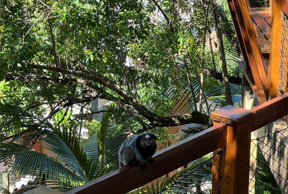 whatsapp image 2022-11-30 at 13.35.16 (1).jpeg