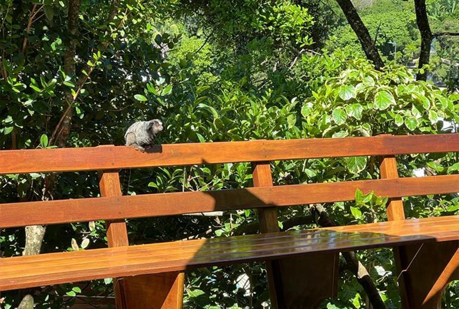 whatsapp image 2022-11-30 at 13.35.25.jpeg