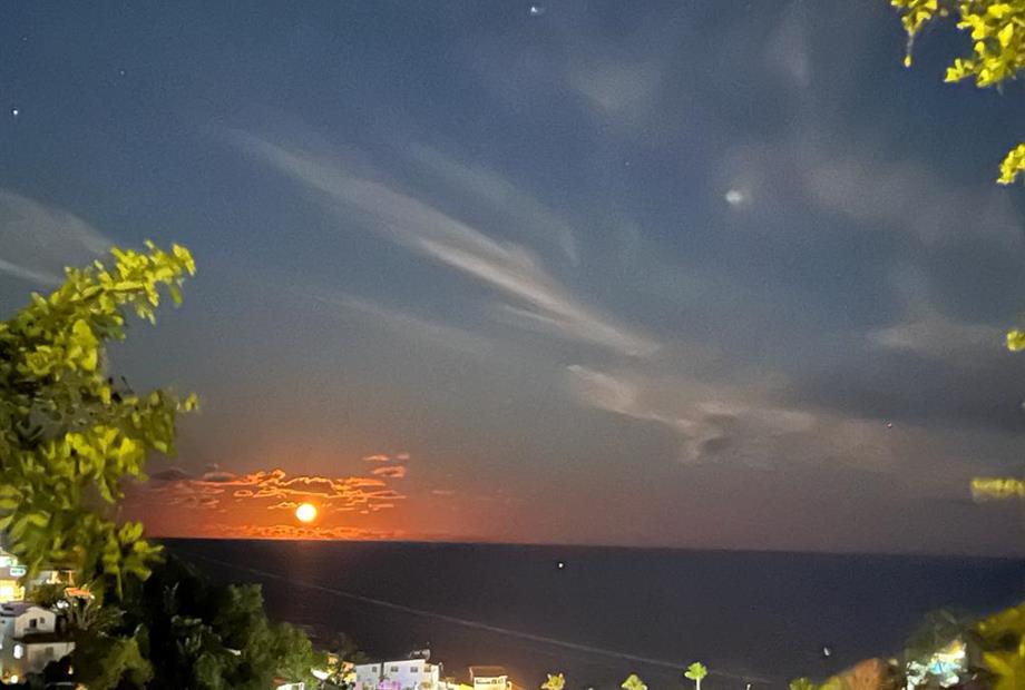 whatsapp image 2022-11-30 at 13.35.26.jpeg