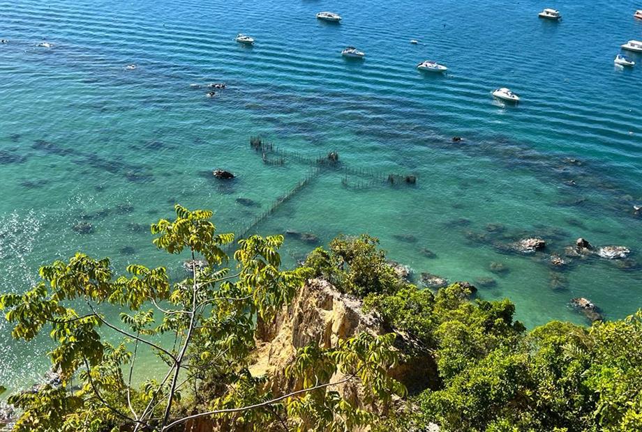 whatsapp image 2022-11-30 at 13.35.29.jpeg