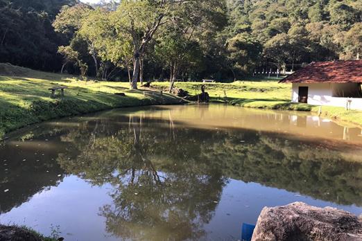 whatsapp image 2020-07-17 at 16.01.41.jpeg