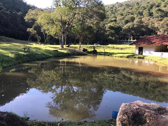 whatsapp image 2020-07-17 at 16.01.41.jpeg